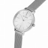 Zegarek Damski Paul Lorens PL12894B-3C1 na bransolecie mesh w kolorze Srebrny/Srebrny o szerokości 14/14mm