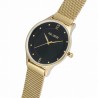 Zegarek Damski Paul Lorens PL10317B9-3C1 na bransolecie mesh w kolorze Srebrny/Srebrny o szerokości 16/16mm